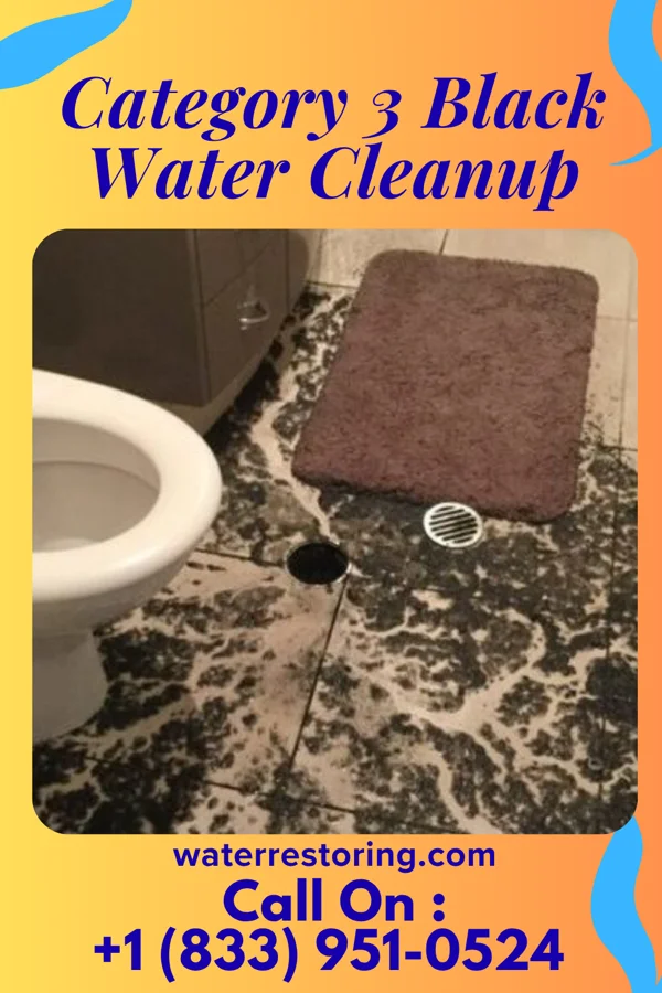 Category 3 Black Water Cleanup in Rutherfordton, NC